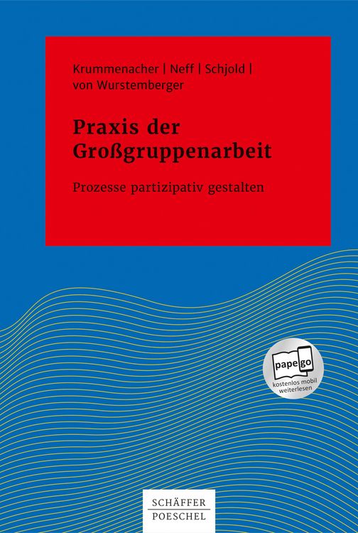 Produktbild: Praxis der Gro&szlig;gruppenarbeit