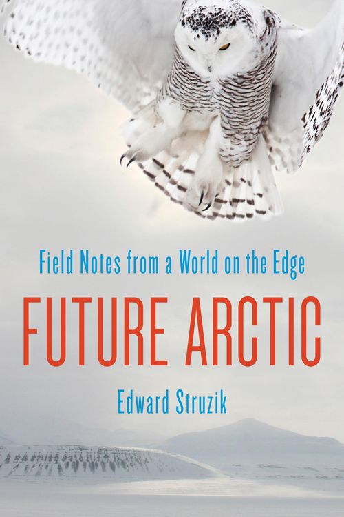 Produktbild: Future Arctic