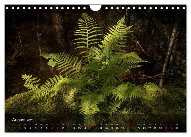Produktbild: Naturerlebnis Aschau (Wandkalender 2026 DIN A4 quer), CALVENDO Monatskalender