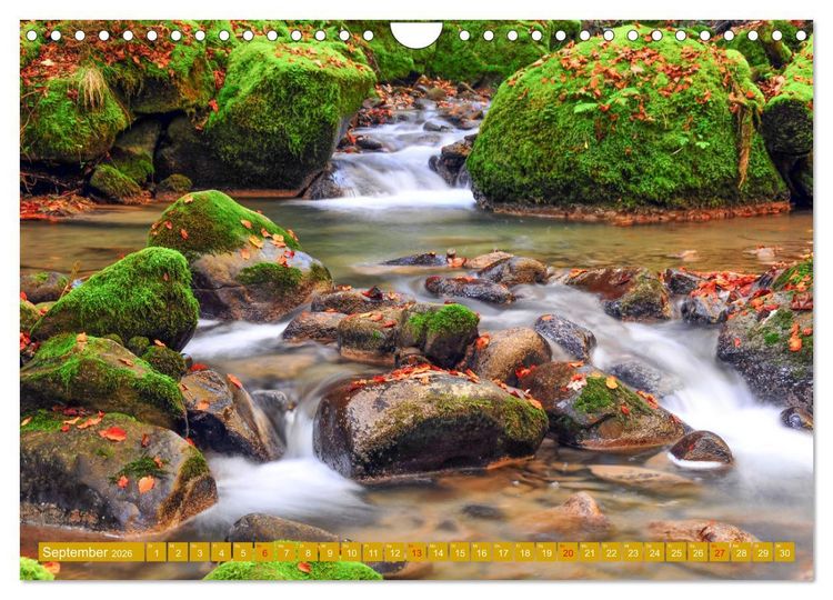 Produktbild: Rauschende Wildb&auml;che im Allg&auml;u (Wandkalender 2026 DIN A4 quer), CALVENDO Monatskalender
