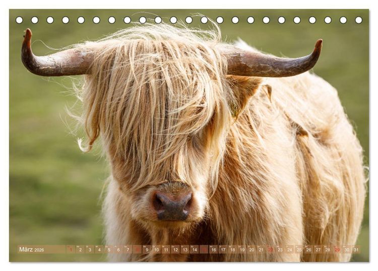 Produktbild: Von den Highlands zu den Hebriden (Tischkalender 2026 DIN A5 quer), CALVENDO Monatskalender