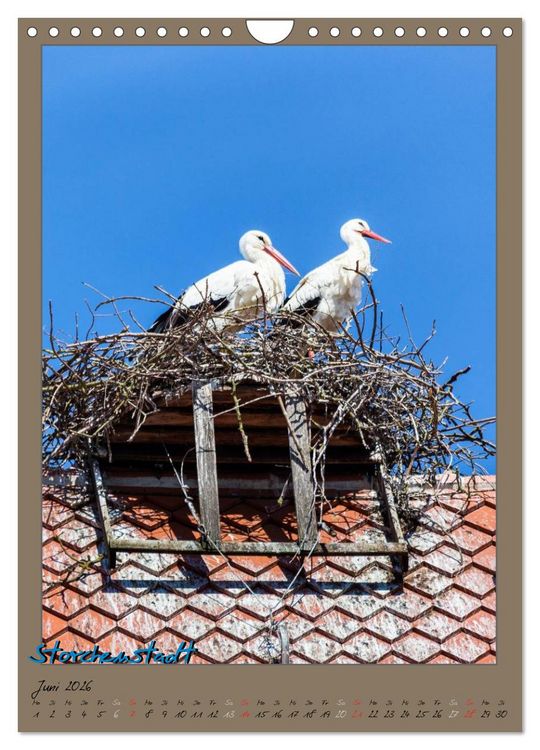 Produktbild: Goldschl&auml;gerstadt Schwabach (Wandkalender 2026 DIN A4 hoch), CALVENDO Monatskalender