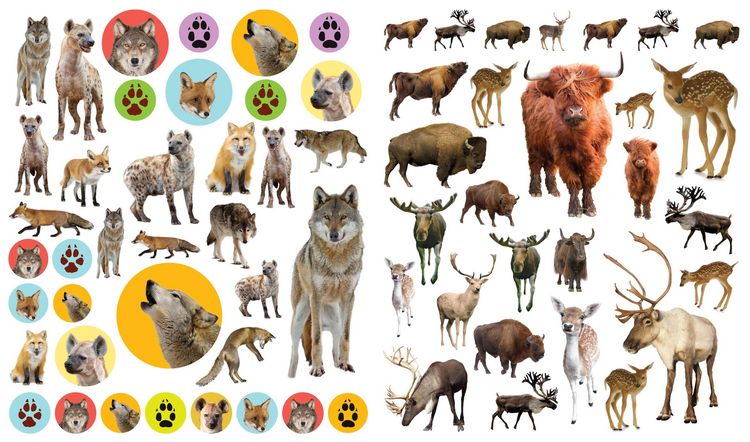 Produktbild: Eyelike Stickers: Wild Animals