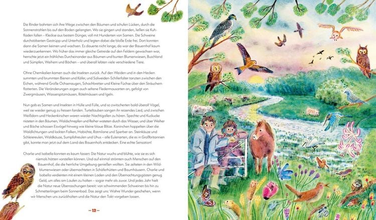 Produktbild: Die Natur kehrt zur&uuml;ck