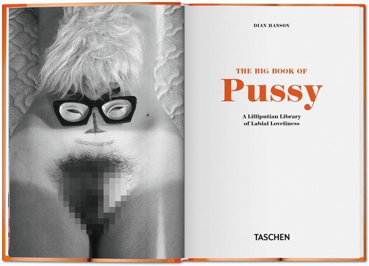 Produktbild: The Little Big Book of Pussy