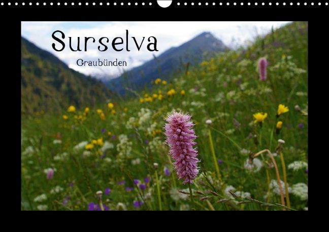 Produktbild: Surselva - Graub&uuml;nden (Wandkalender immerw&auml;hrend DIN A3 quer)