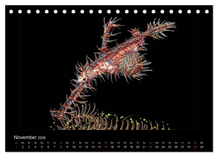 Produktbild: OCEAN - ART (Tischkalender 2026 DIN A5 quer), CALVENDO Monatskalender