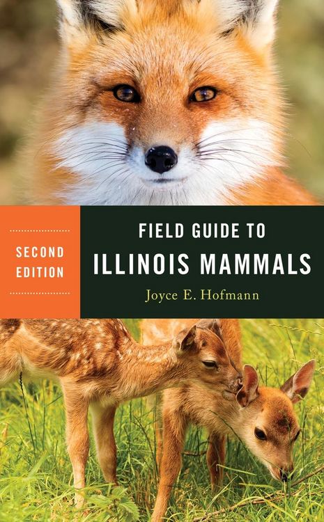 Produktbild: Field Guide to Illinois Mammals