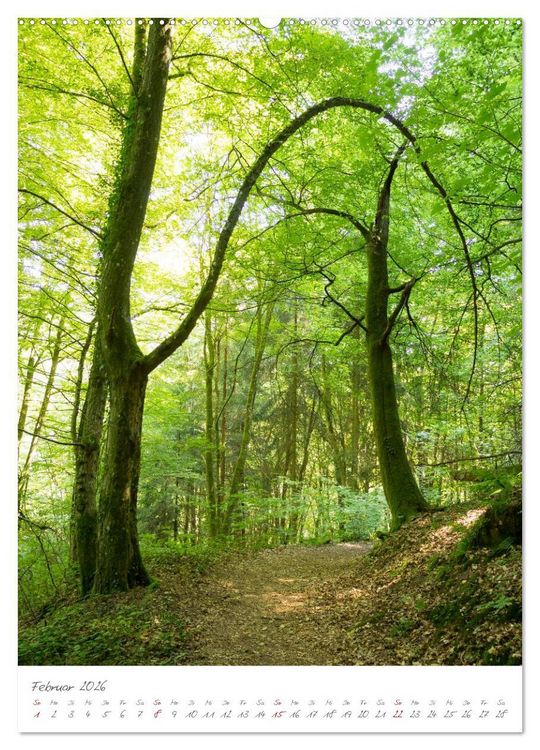 Produktbild: Zauberhafte Eifel (hochwertiger Premium Wandkalender 2026 DIN A2 hoch), Kunstdruck in Hochglanz