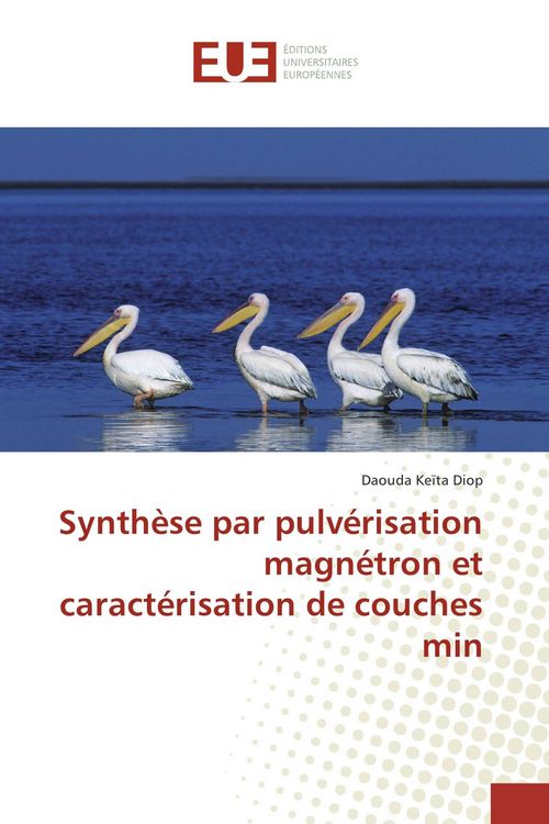 Produktbild: Synth&egrave;se par pulv&eacute;risation magn&eacute;tron et caract&eacute;risation de couches min