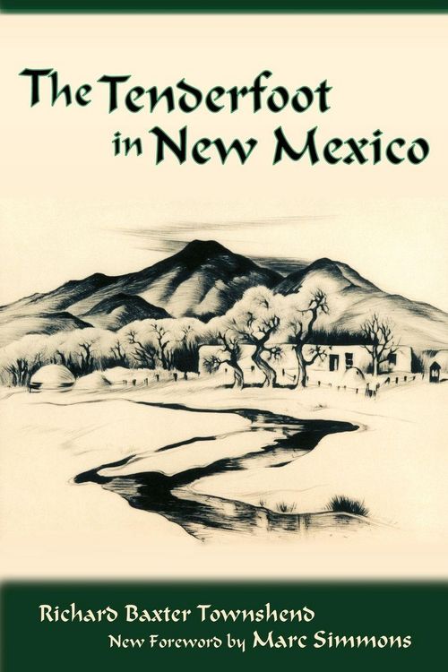Produktbild: The Tenderfoot in New Mexico