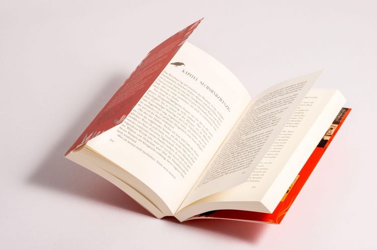 "Curse of Shadows and Thorns - Geliebt von meinem Feind" online kaufen