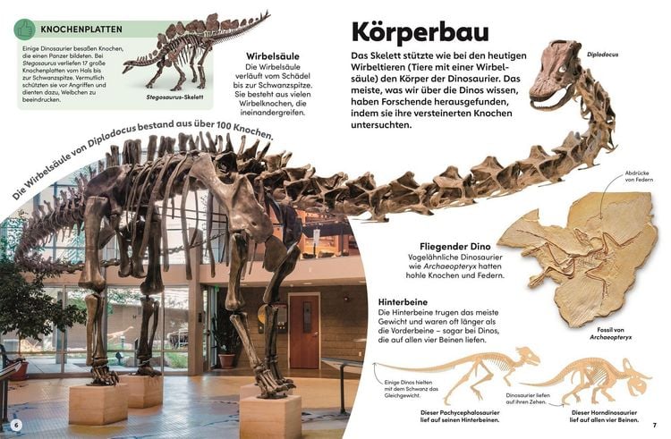 Produktbild: Memo Wissen Kids. Dinosaurier