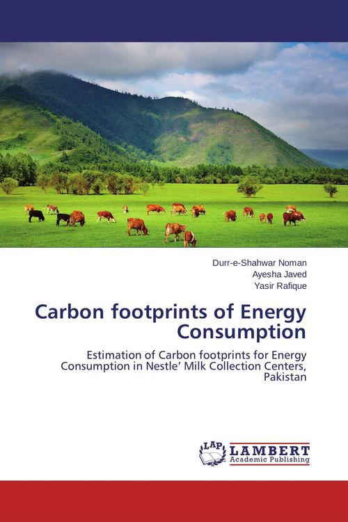 Produktbild: Carbon footprints of Energy Consumption
