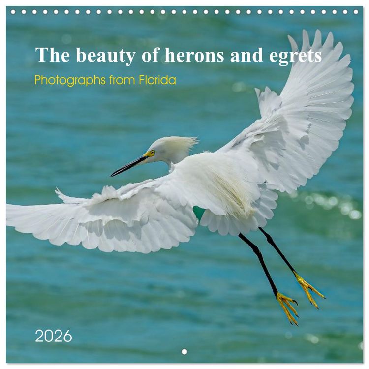 Produktbild: The beauty of herons and egrets (Wall Calendar 2026 12 &times; 12 Inch) CALVENDO 12 Month Wall Calendar