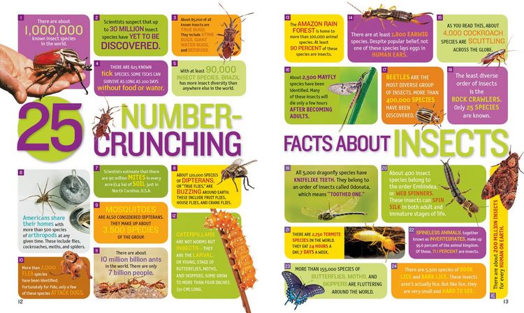 Produktbild: 1,000 Facts about Insects