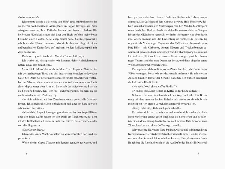 Winter Wishes. Ein Adventskalender. Lovestorys für 24 Tage plus Silvester-Special