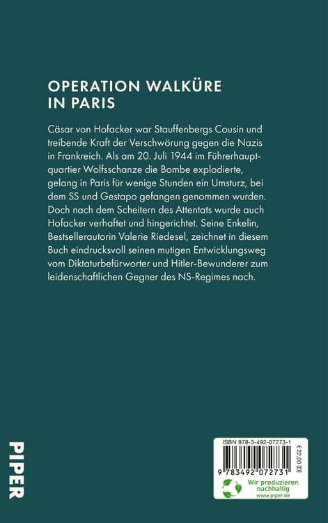 Produktbild: Der Flieger im Widerstand