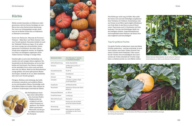 Produktbild: Der optimale Gem&uuml;segarten