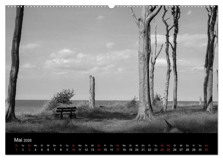 Produktbild: B&auml;ume trees 2026 (hochwertiger Premium Wandkalender 2026 DIN A2 quer), Kunstdruck in Hochglanz