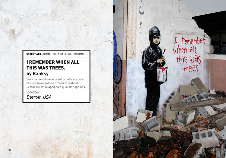 Produktbild: Street Art in Zeiten der Klimakrise