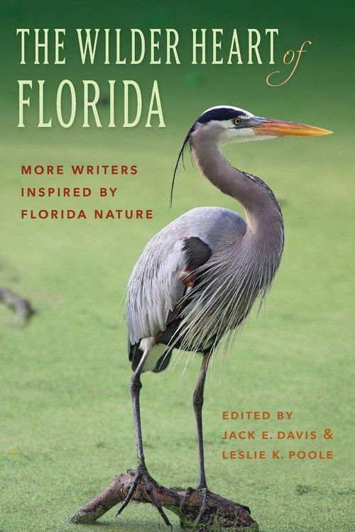 Produktbild: The Wilder Heart of Florida