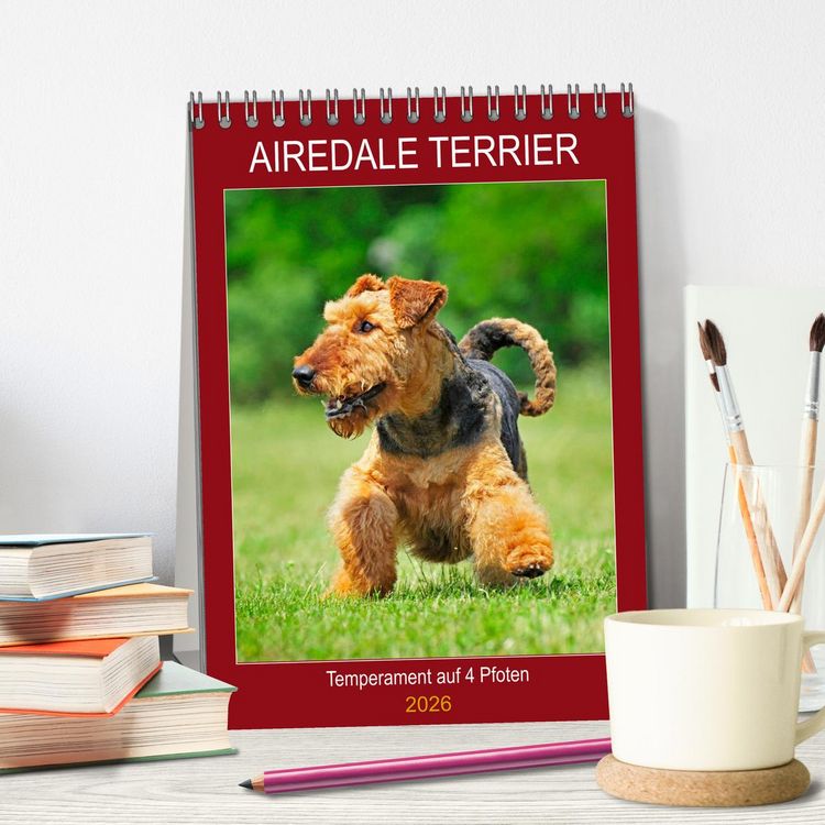 Produktbild: Airedale Terrier - Temperament auf 4 Pfoten (Tischkalender 2026 DIN A5 hoch), CALVENDO Monatskalender