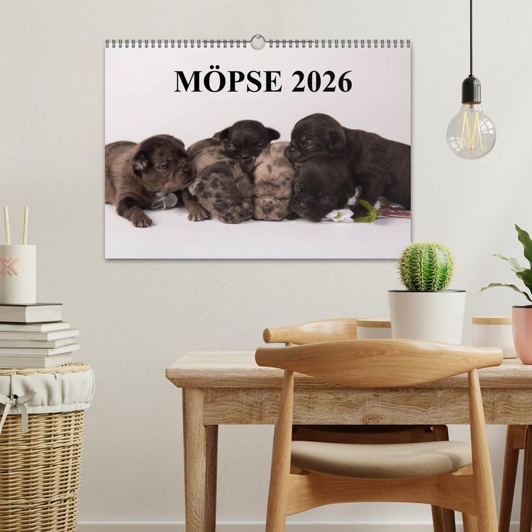 Produktbild: M&ouml;pse 2026 (Wandkalender 2026 DIN A3 quer), CALVENDO Monatskalender