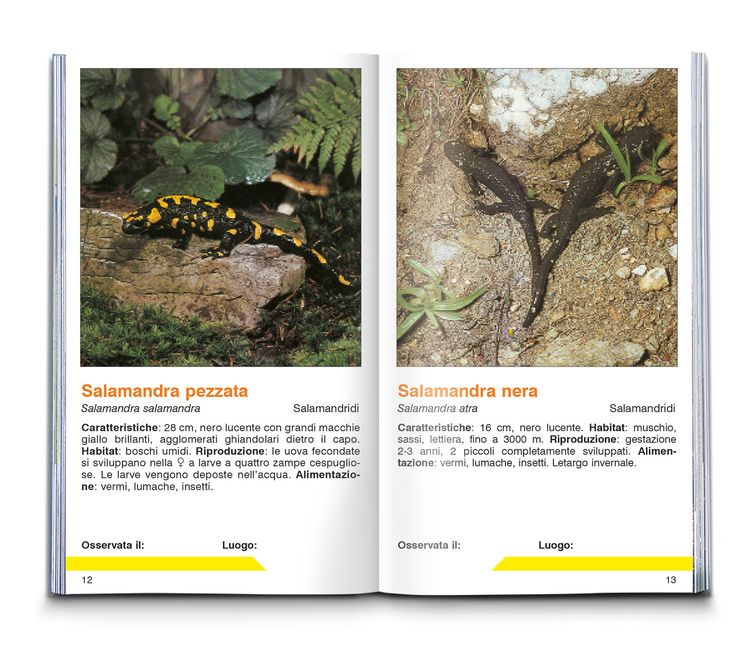 Produktbild: KOMPASS guida naturalistica Animali delle Alpi