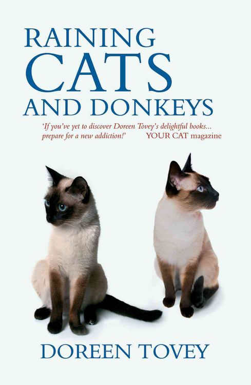 Produktbild: Tovey, D: Raining Cats and Donkeys