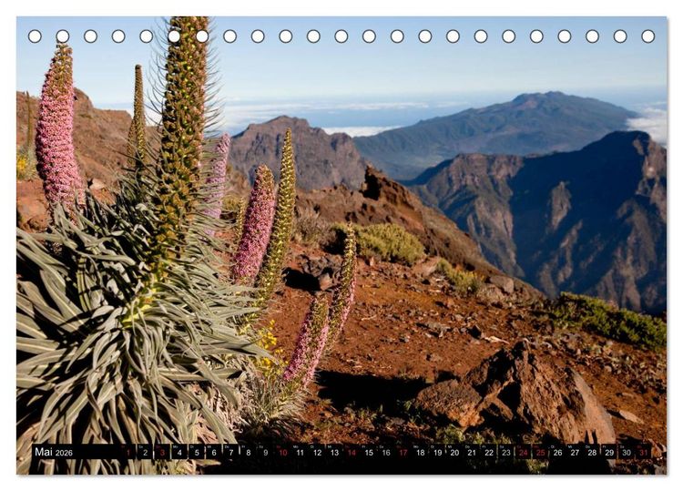 Produktbild: San Miguel de la Palma (Tischkalender 2026 DIN A5 quer), CALVENDO Monatskalender