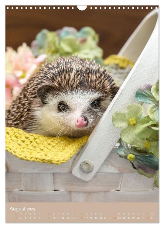 Produktbild: Gilbert der Igel (Wandkalender 2026 DIN A3 hoch), CALVENDO Monatskalender
