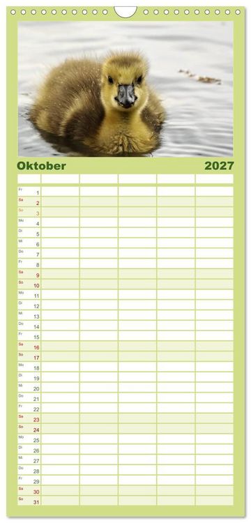 Produktbild: Familienplaner 2027 - Kleine Schelme - Tierbabys mit 5 Spalten (Wandkalender, 21 x 45 cm) CALVENDO