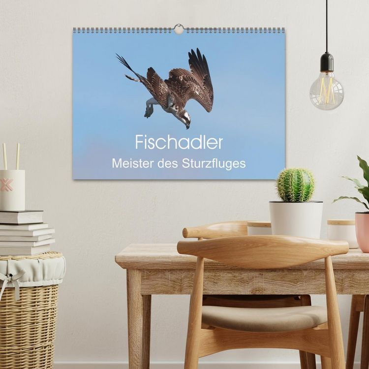 Produktbild: Fischadler - Meister des Sturzfluges (Wandkalender 2026 DIN A3 quer), CALVENDO Monatskalender