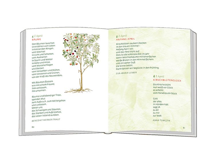Produktbild: Mein Freund, der Baum