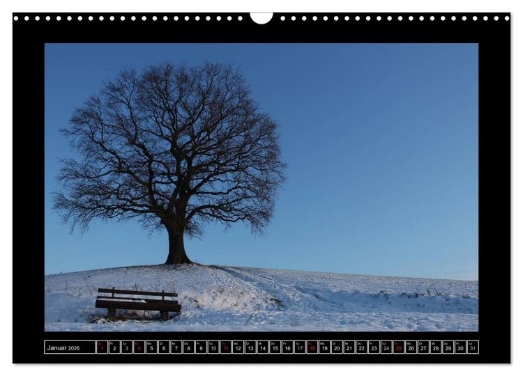 Produktbild: Odenwald - Landschaft sehen (Wandkalender 2026 DIN A3 quer), CALVENDO Monatskalender