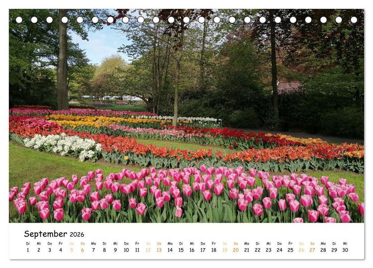 Produktbild: Auf Tour im Land der Tulpen (Tischkalender 2026 DIN A5 quer), CALVENDO Monatskalender