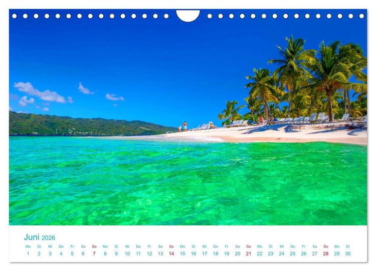 Produktbild: Unter Palmen 2026. Impressionen von den sch&ouml;nsten Str&auml;nden der Welt (Wandkalender 2026 DIN A4 quer), CALVENDO Monatskalender