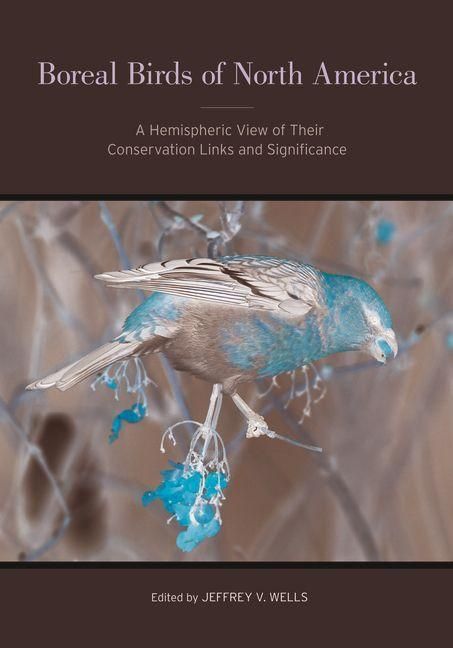 Produktbild: Boreal Birds of North America