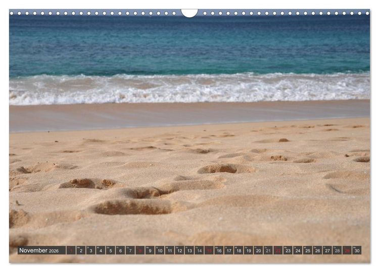 Produktbild: Ich will Meer ! (Wandkalender 2026 DIN A3 quer), CALVENDO Monatskalender