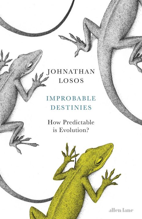 Produktbild: Improbable Destinies