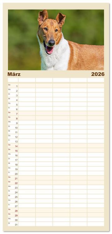 Produktbild: Familienplaner 2026 - Ein Freund f&uuml;rs Leben - Smooth Collie mit 5 Spalten (Wandkalender, 21 x 45 cm) CALVENDO