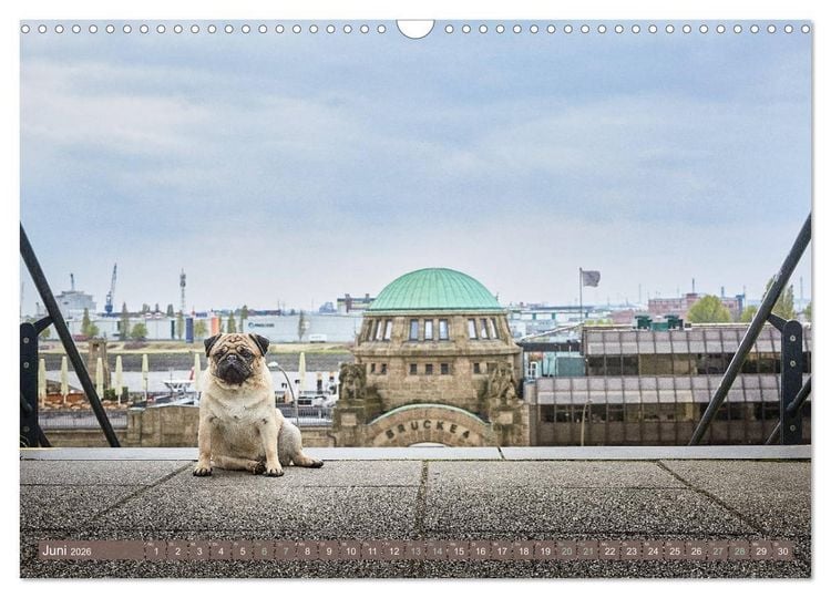 Produktbild: Hamburg - Stadt der M&ouml;pse (Wandkalender 2026 DIN A3 quer), CALVENDO Monatskalender