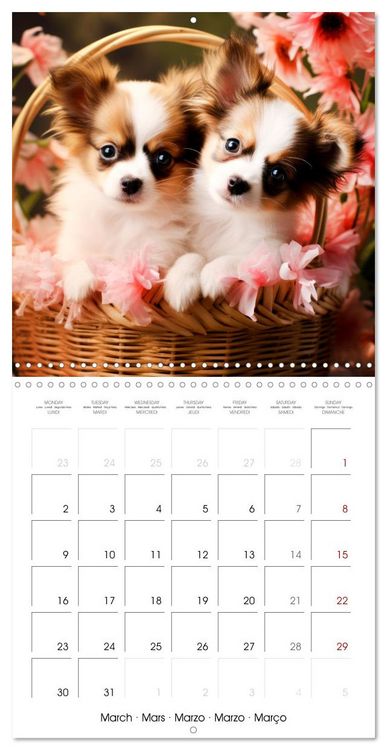 Produktbild: Cute PUPPY PERSONALITIES (Wall Calendar 2026 12 &times; 12 Inch) CALVENDO 12 Month Wall Calendar