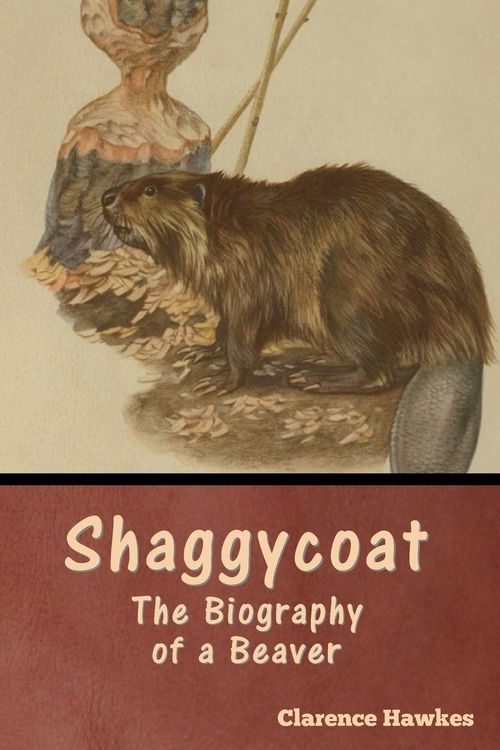 Produktbild: Shaggycoat