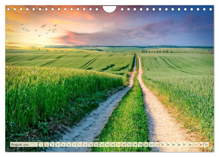 Produktbild: Traumwege entdecken (Wandkalender 2026 DIN A4 quer), CALVENDO Monatskalender