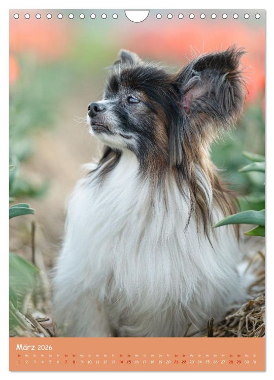 Produktbild: Flora Canidae - der Hunde-Bl&uuml;hpflanzen-Kalender (Wandkalender 2026 DIN A4 hoch), CALVENDO Monatskalender