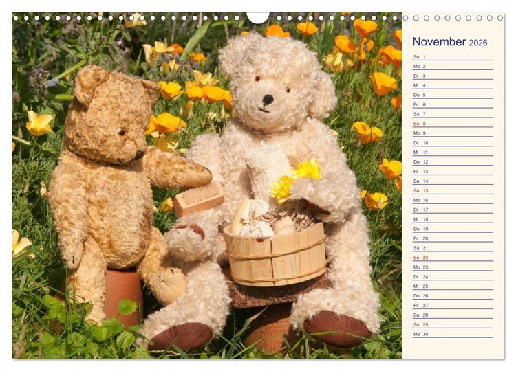 Produktbild: Geliebte B&auml;ren - Teddys (Wandkalender 2026 DIN A3 quer), CALVENDO Monatskalender