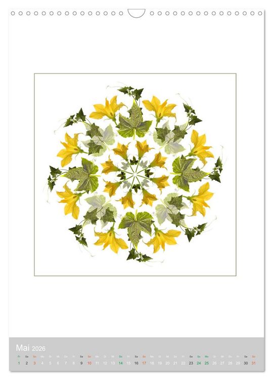 Produktbild: Pflanzen - Mandalas aus Bl&uuml;ten und Bl&auml;ttern (Wandkalender 2026 DIN A3 hoch), CALVENDO Monatskalender