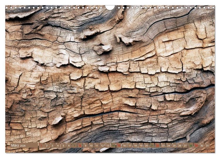 Produktbild: Faszination HOLZ - Strukturen (Wandkalender 2026 DIN A3 quer), CALVENDO Monatskalender